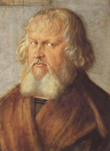 Albrecht Durer Hieronymus Holzschuher (mk45) oil painting picture